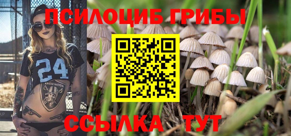 Псилоцибиновые грибы Psilocybe  Вход с VPN  закладка  Барабинск  Псилоцибиновые грибы Psilocybe 
